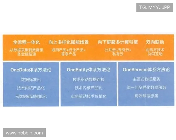 bbin方法在数据分析中的创新应用与实践经验