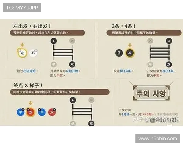 如何应对bbin直营网被审核带来的风险与未来发展策略